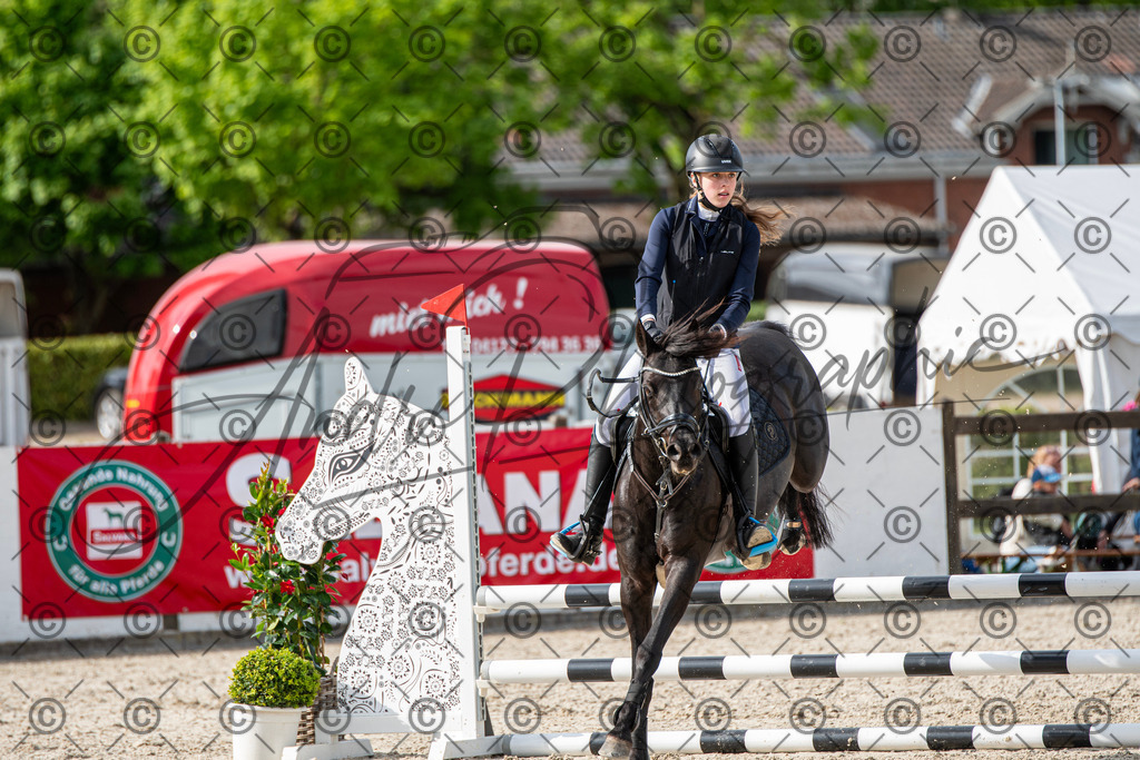 KPT_6641 | andre_photographic