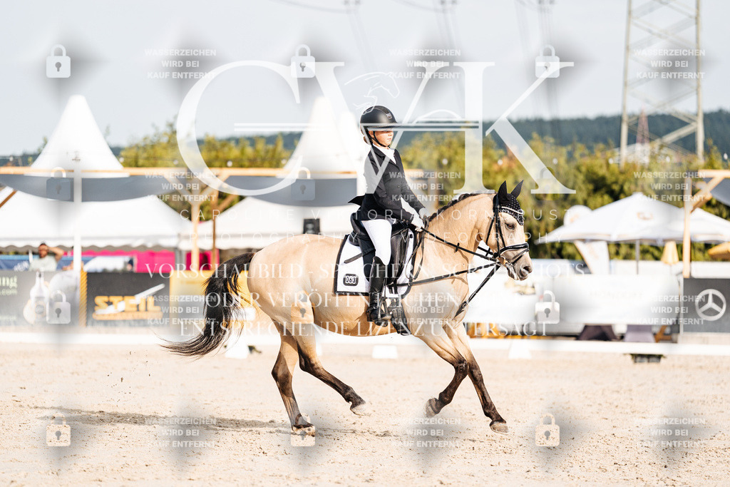 CK904248 | Turnierfotografie Pferdefotografie Trier Rheinland-Pfalz Pferdesport Reitsport Tierfotografie Sportfotografie Pferdevideo Pferdevideografie Equestrianvideography equestrianphotography  - Realisiert mit Pictrs.com