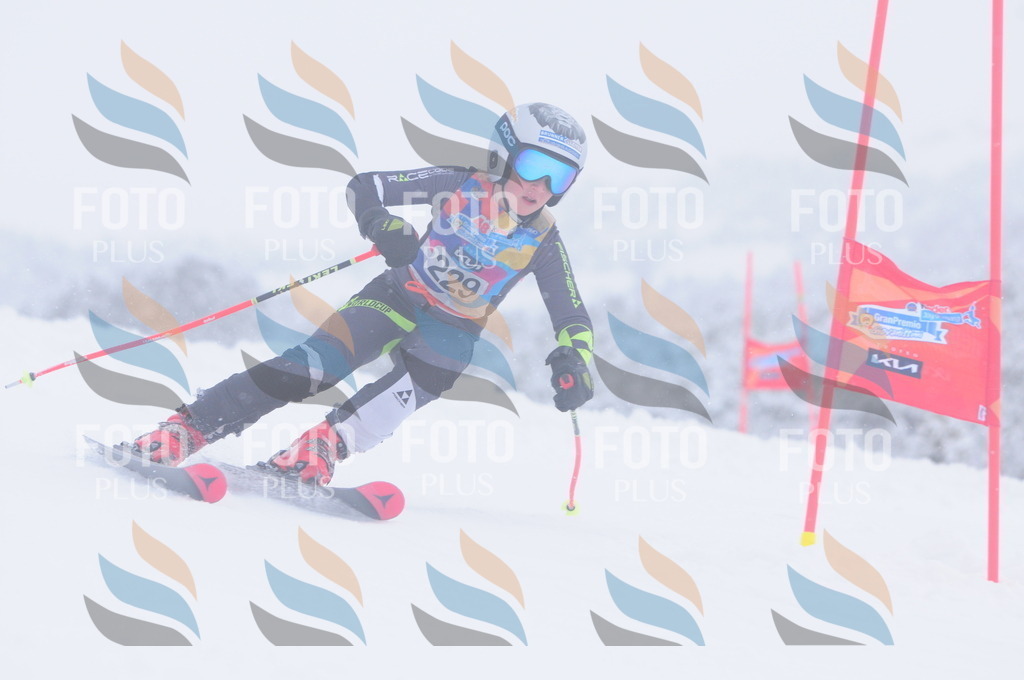 C2405 | holidayphoto