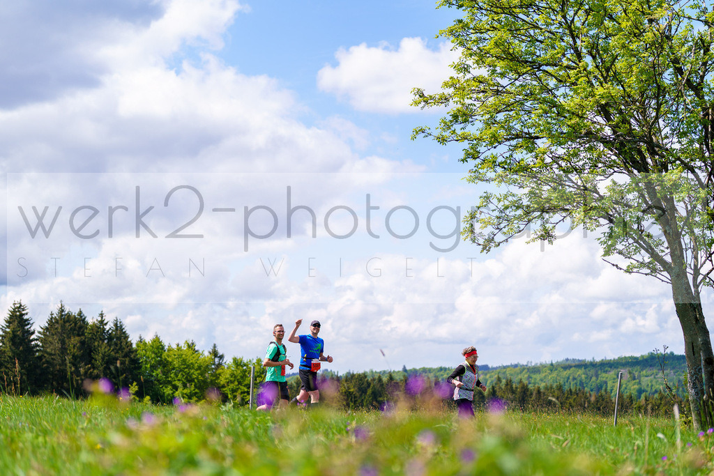 Rennsteiglauf Marathon 2025 | Marathon von Neuhaus/Rwg. nach Schmiedefeld/Rstg. am 17. Mai 2025