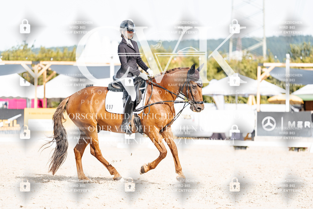 CK905172 | Turnierfotografie Pferdefotografie Trier Rheinland-Pfalz Pferdesport Reitsport Tierfotografie Sportfotografie Pferdevideo Pferdevideografie Equestrianvideography equestrianphotography  - Realisiert mit Pictrs.com