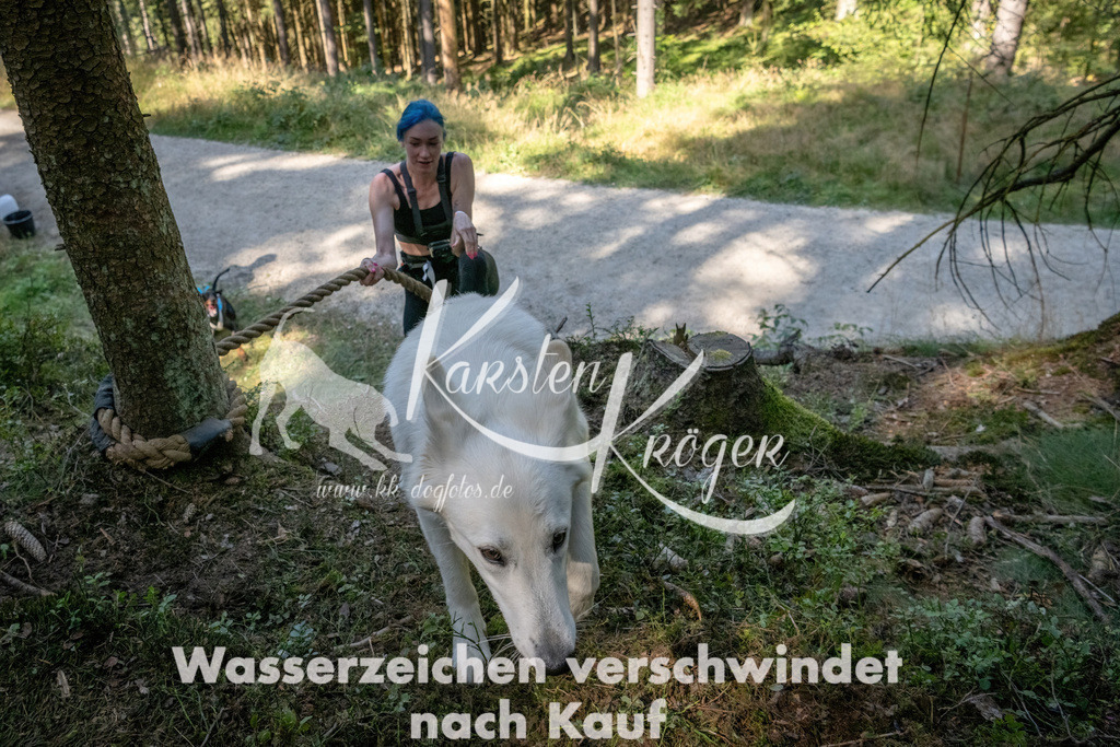 1223_ZZ94276 | kk-dogfotos