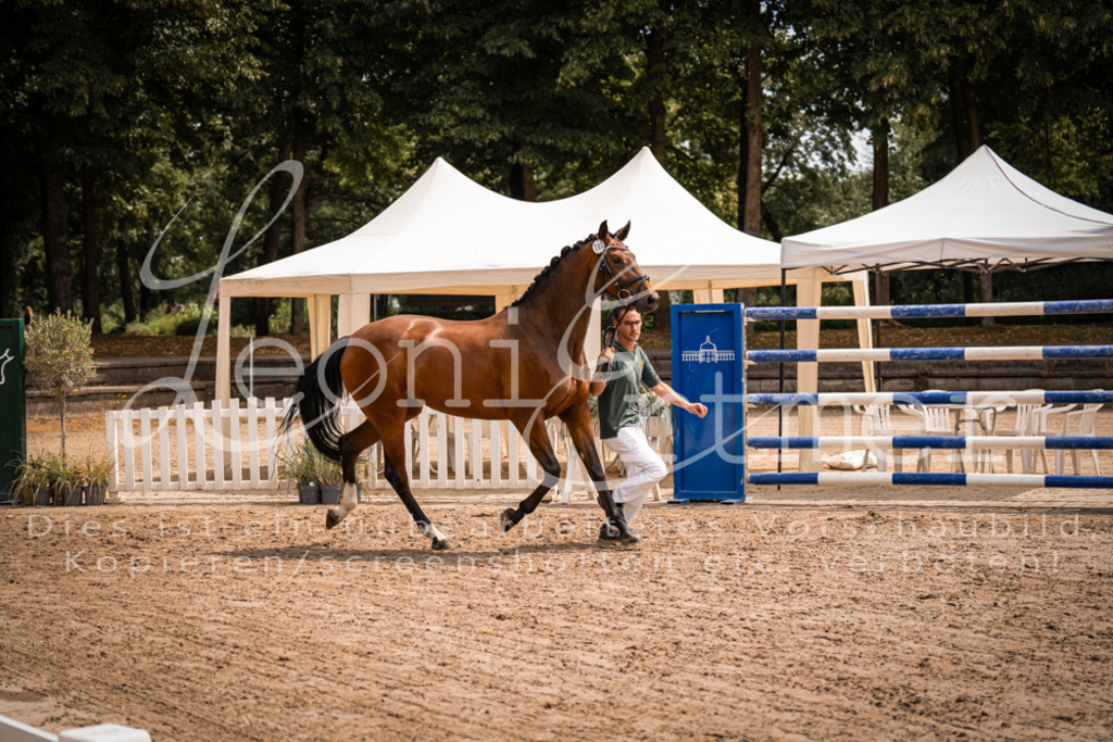 2. Fr00060 | Leoni Ertmer Photography - Realisiert mit Pictrs.com