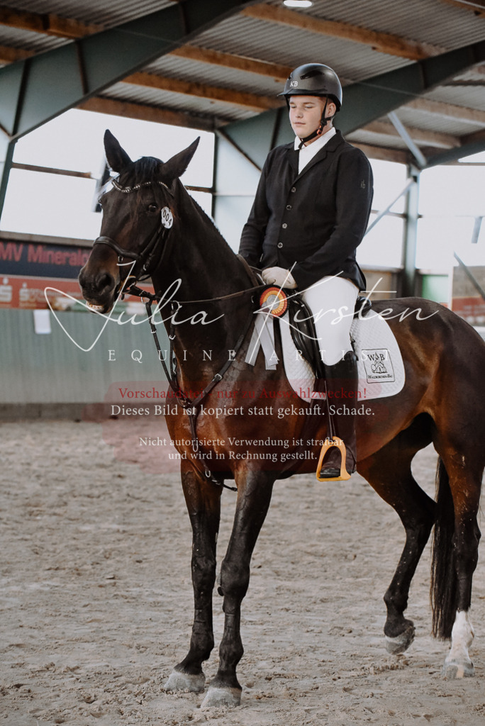 DSC_7510 | Pferde- und Turnierfotografie in Westsachsen. Pferdeportraits, Auftragszeichnungen und intuitive Kunst.