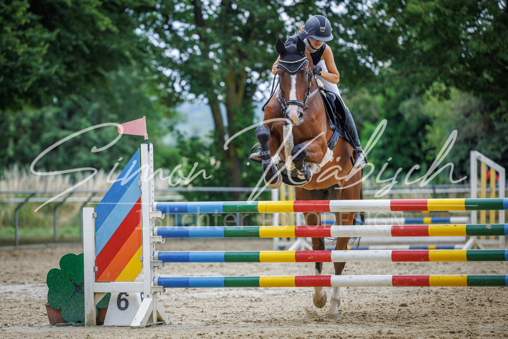 20260705-_3LI6210 | Tierfotografie Pferde, Hunde, Katzen, Haustiere.
Turnierfotografie Reitturniere, Reiten, Springreiten, Dressur in Hanau, dem Main-Kinzig-Kreis und dem Rhein-Main- Gebiet um Frankfurt