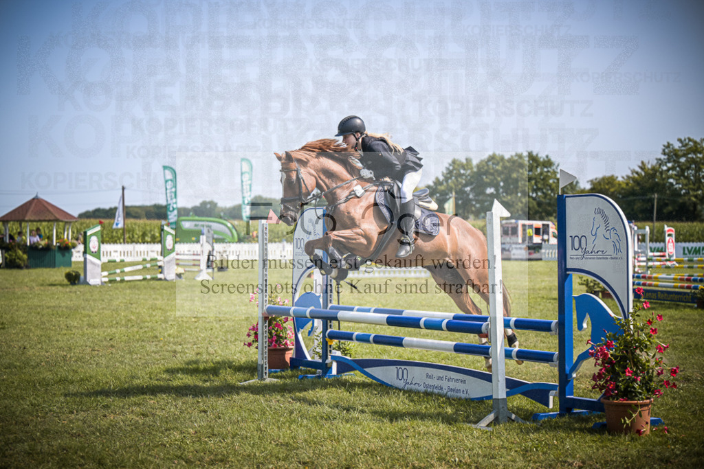 DOS_3295 | Entdecke hochwertige Reitturnierfotos von Foto Oger. Professionell, emotional und authentisch – jetzt Lieblingsmomente im Shop bestellen. - Realisiert mit Pictrs.com