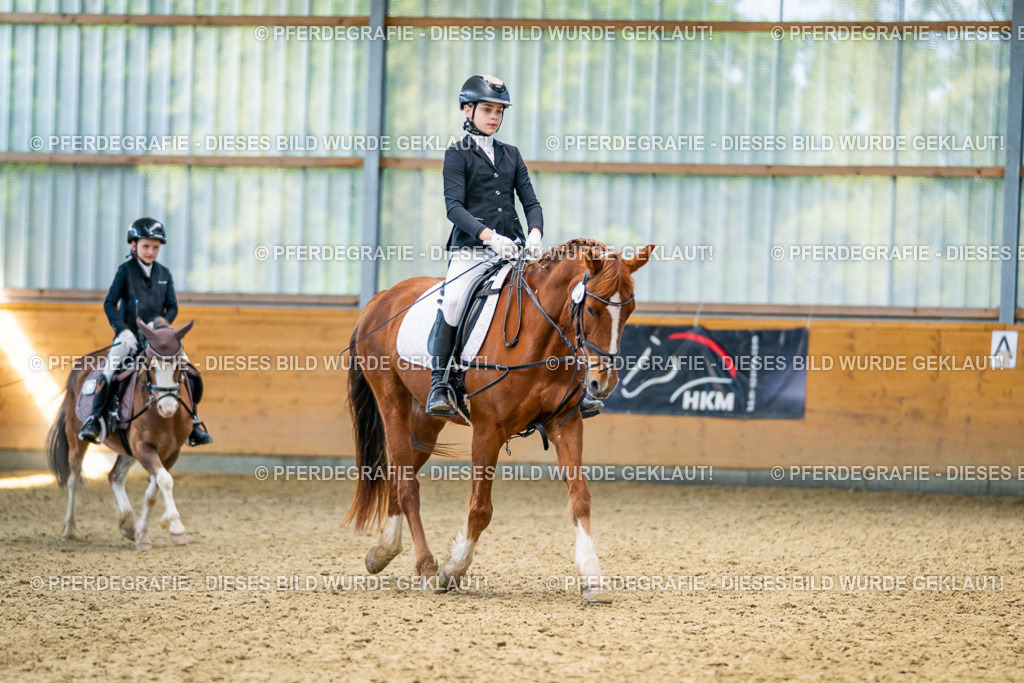 DSC03034 | Pferdegrafie