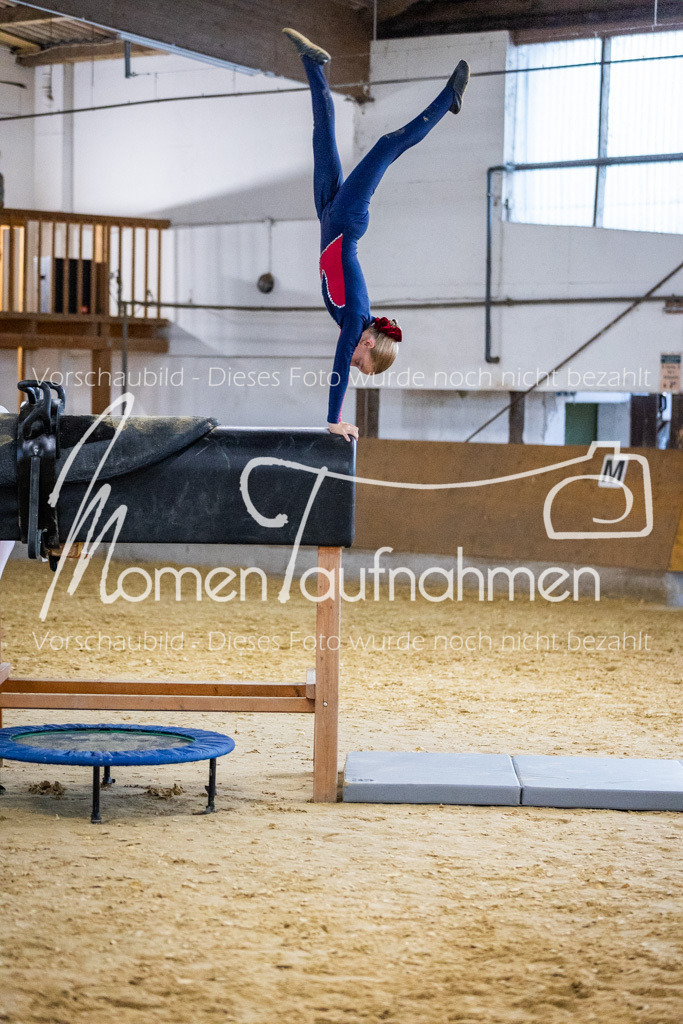 Holzpferd-096 | MomenTaufnahmen Pferdesportfotos