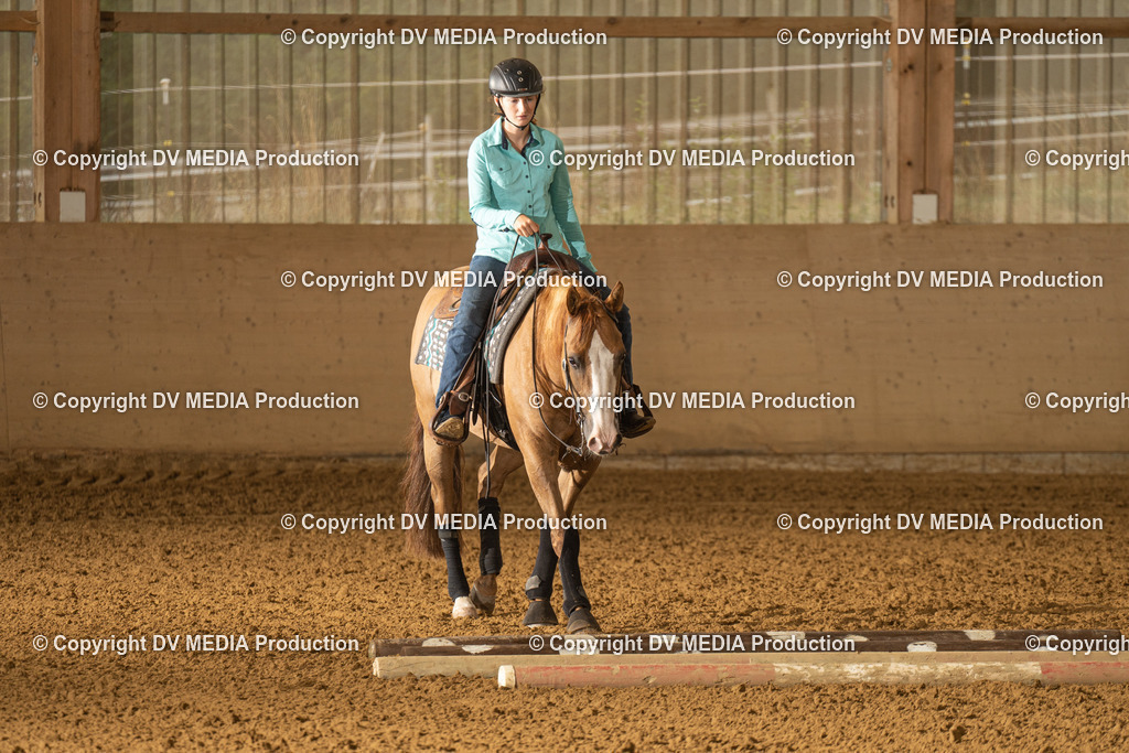 LAU00560 | dv-media-shop - Realisiert mit Pictrs.com