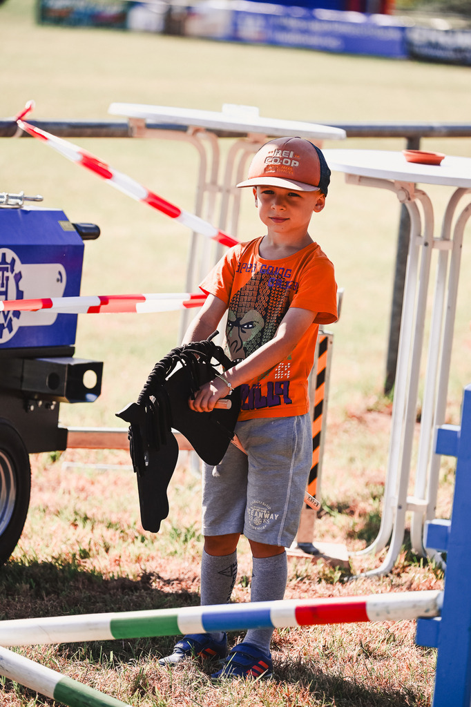 DSC_1219 | Pferde- und Turnierfotografie in Westsachsen. Pferdeportraits, Auftragszeichnungen und intuitive Kunst.
