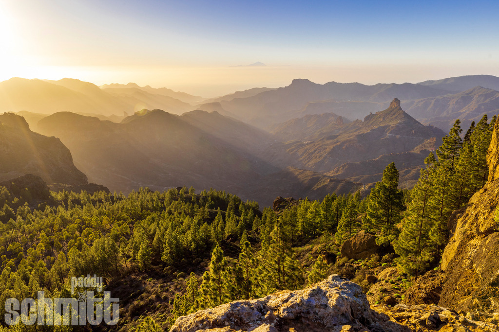 PS-Gran-Canaria-2026-41 | Entdecke die größte Bildgalerie der Region mit Fotografien aus dem Allgäu, der Bodenseeregion, Oberschwaben, dem Donautal und der Schwäbischen Alb. Landschaften, Luftaufnahmen und Reisefotografie als Wandbild und Fotokunst. - Realisiert mit Pictrs.com