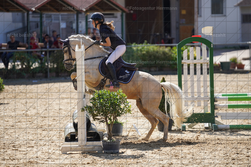 20240824-FAH08055 | Thierhaupten 2024, Bayerisches Landesponyturnier, Turnierbilder, Ponybilder, Turnierfotografen Bayern, Fotoagentur Herrmann