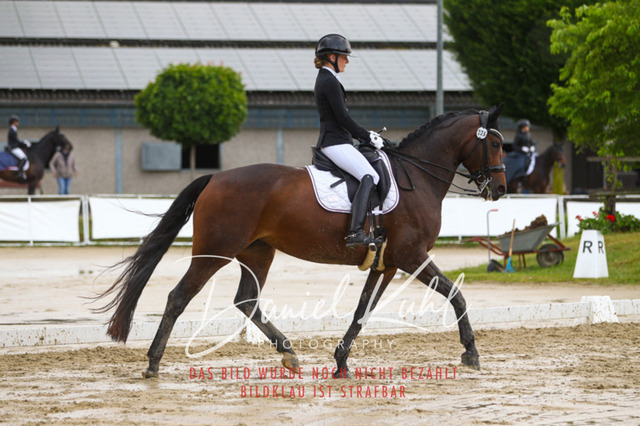 DKP40358 | Turniersportfotografie; Pferdefotografie; Dressurfotografie