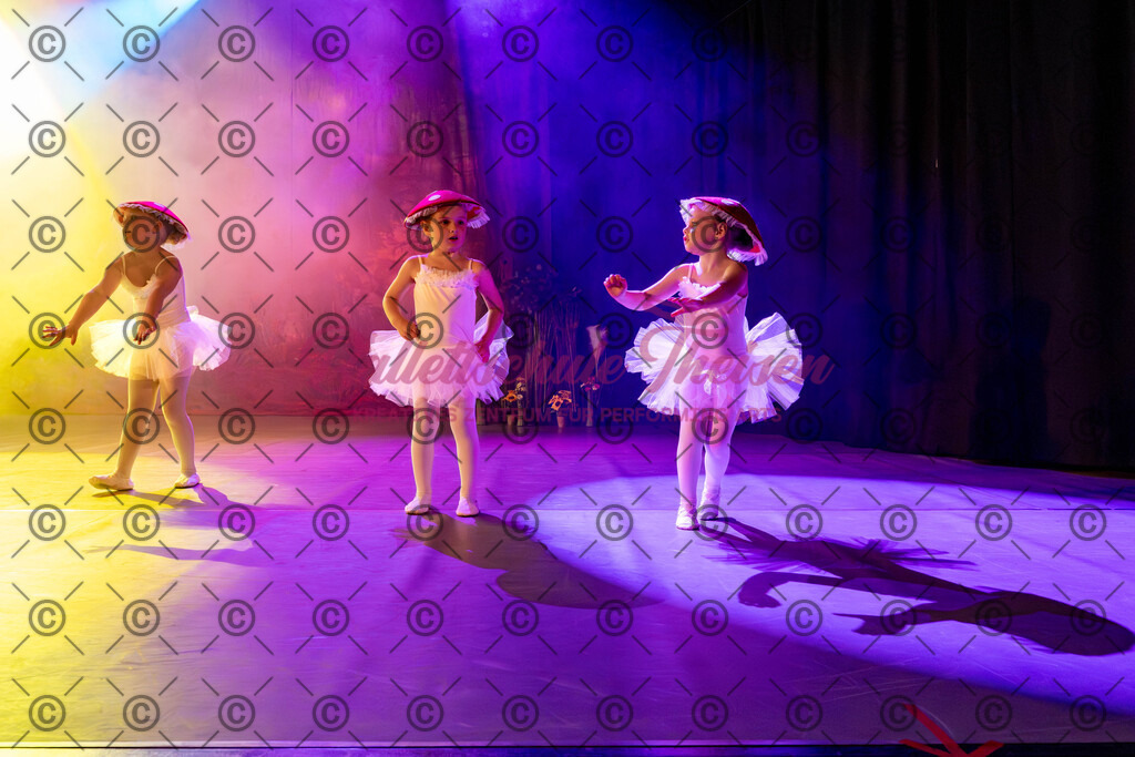 Ballettaufführung-53 | Bildershop Lem'n Entertainment - Realisiert mit Pictrs.com