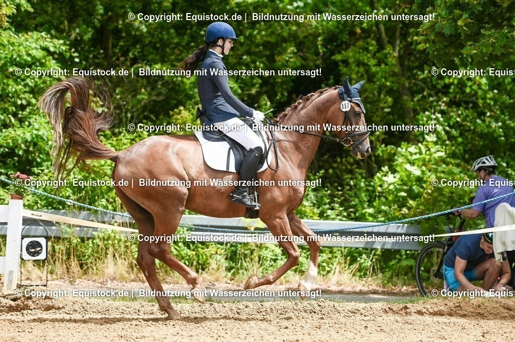 20230716_03_Dressurprfg. Kl.L - Tr._0330 | equistock