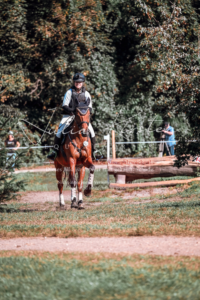 DSC_0743 | Pferde- und Turnierfotografie in Westsachsen. Pferdeportraits, Auftragszeichnungen und intuitive Kunst.