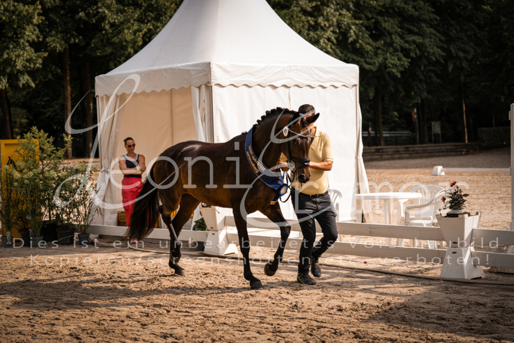 FrER00238 | Leoni Ertmer Photography - Realisiert mit Pictrs.com