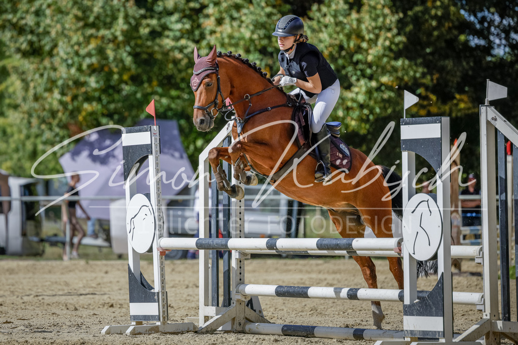 20250906-_3LI6440 | Tierfotografie Pferde, Hunde, Katzen, Haustiere.
Turnierfotografie Reitturniere, Reiten, Springreiten, Dressur in Hanau, dem Main-Kinzig-Kreis und dem Rhein-Main- Gebiet um Frankfurt