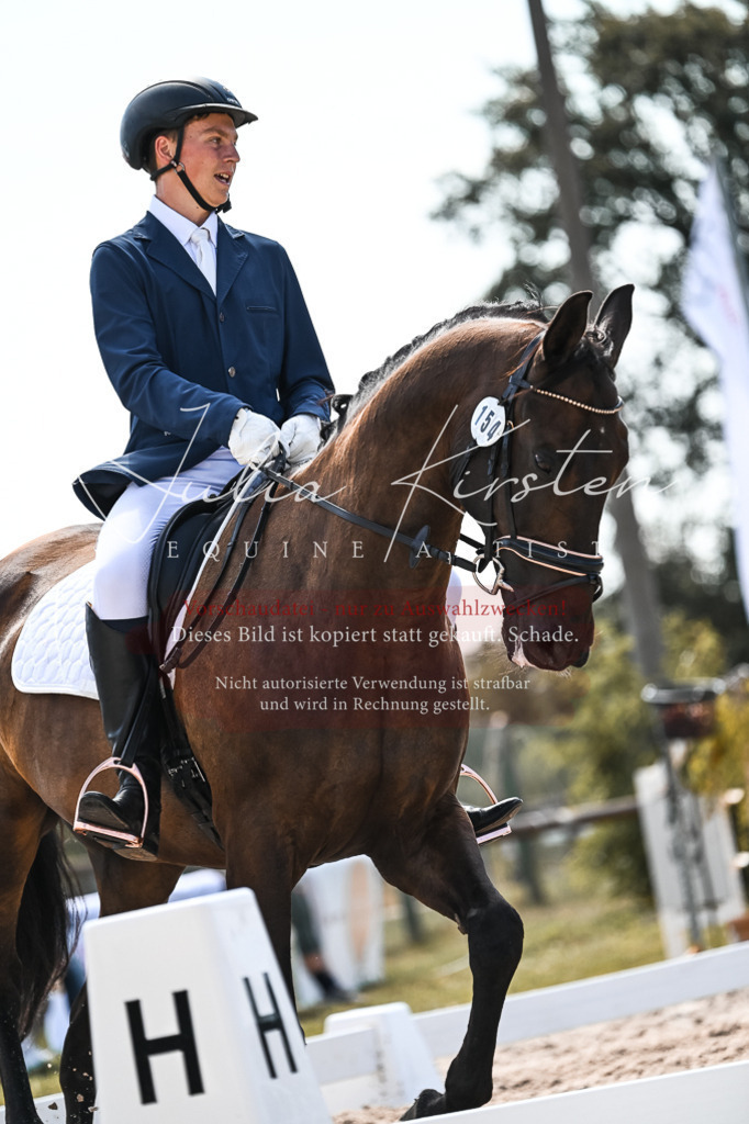 DSC_5443 | Pferde- und Turnierfotografie in Westsachsen. Pferdeportraits, Auftragszeichnungen und intuitive Kunst.