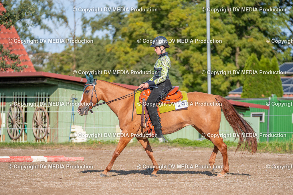 Balingen Tag 2-188 | dv-media-shop - Realisiert mit Pictrs.com