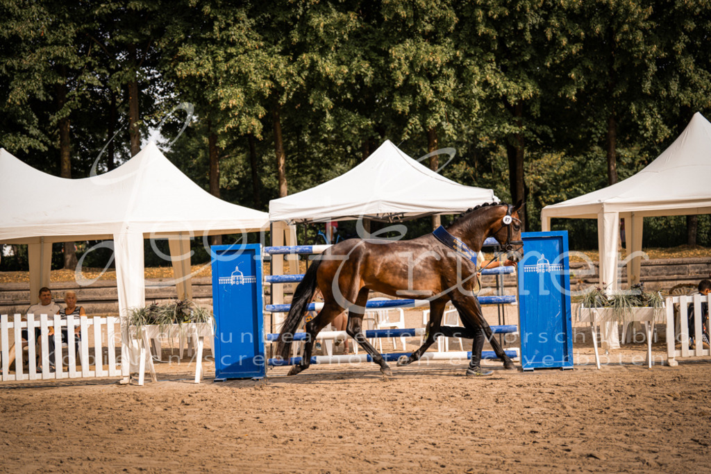 FrER00253 | Leoni Ertmer Photography - Realisiert mit Pictrs.com