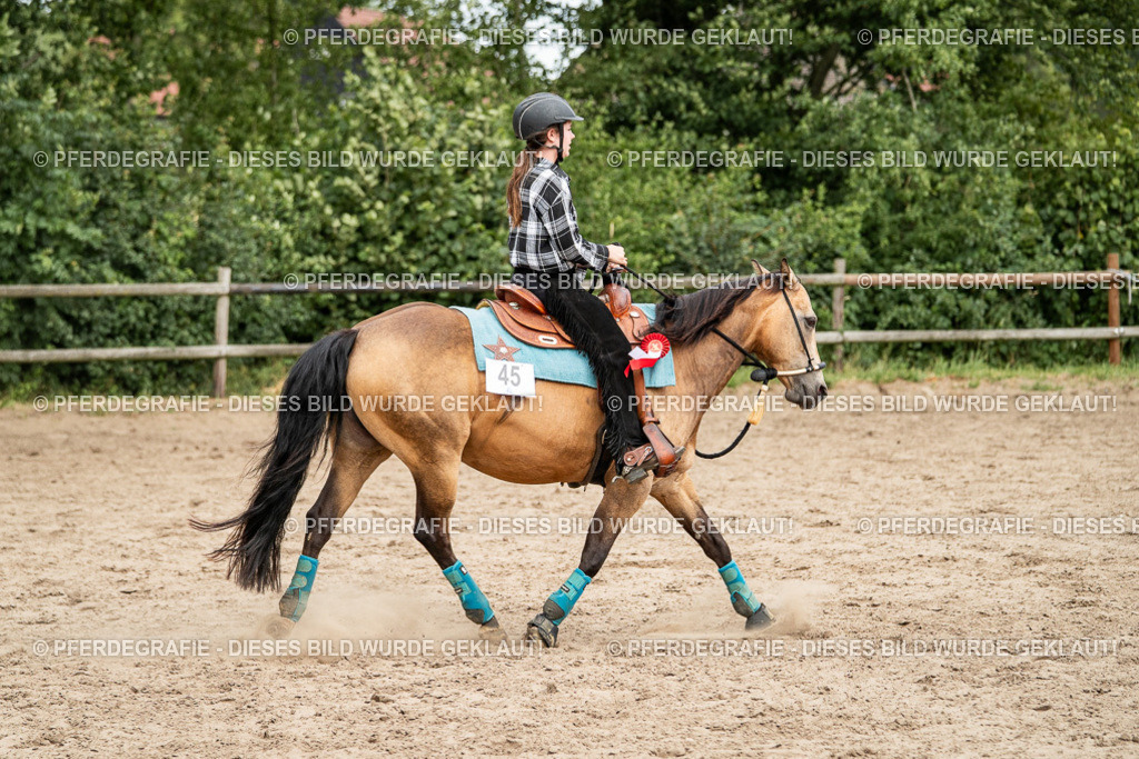 DSC04091 | Pferdegrafie