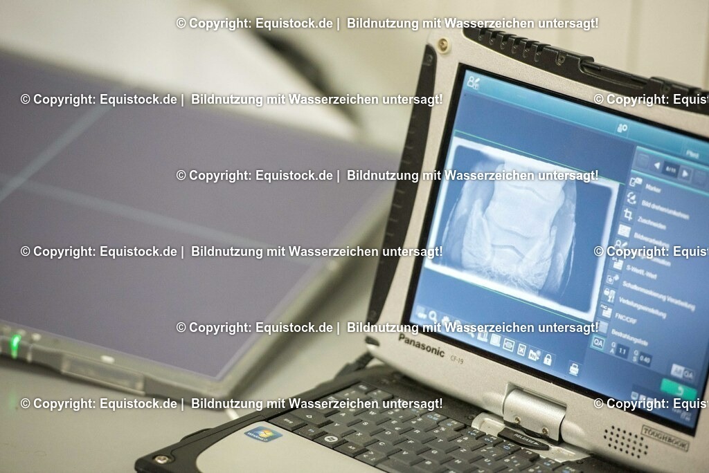 TS_20170113_R__ntgenbilder_0008 | Foto: Thomas Hartig