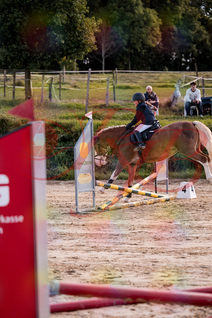 2026_10_03_Siefer-Hof_144457_Z81_19594036 | Professionelle Reitsport-, Turnier- und Eventfotografie von Robert Broda. Galerien mit ausgewählten und bearbeiteten Bildern direkt online ansehen und bestellen.