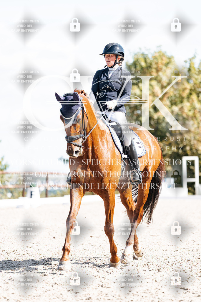 CK902661 | Turnierfotografie Pferdefotografie Trier Rheinland-Pfalz Pferdesport Reitsport Tierfotografie Sportfotografie Pferdevideo Pferdevideografie Equestrianvideography equestrianphotography  - Realisiert mit Pictrs.com