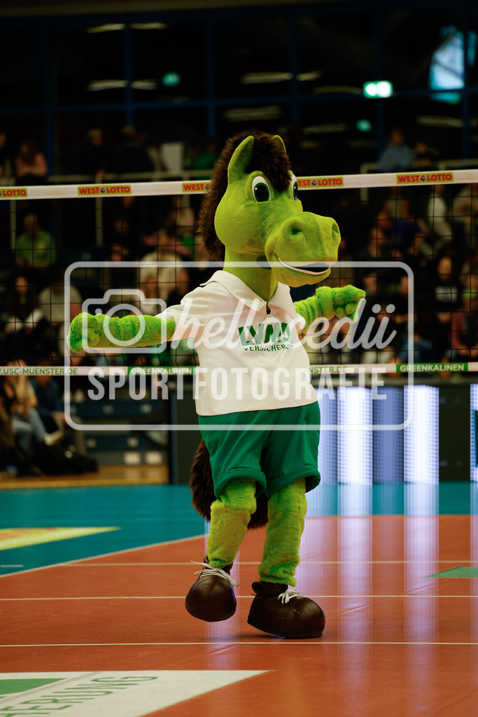 Volleyball I Frauen I Saison 2025-2026 I Bundesliga I 17. Spieltag I USC Münster - VfB Suhl LOTTO Thüringen I 07.02.2026-17 | realhellocedii - Realisiert mit Pictrs.com