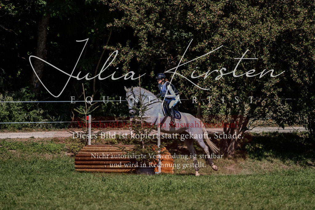 DSC_2034 | Pferde- und Turnierfotografie in Westsachsen. Pferdeportraits, Auftragszeichnungen und intuitive Kunst.