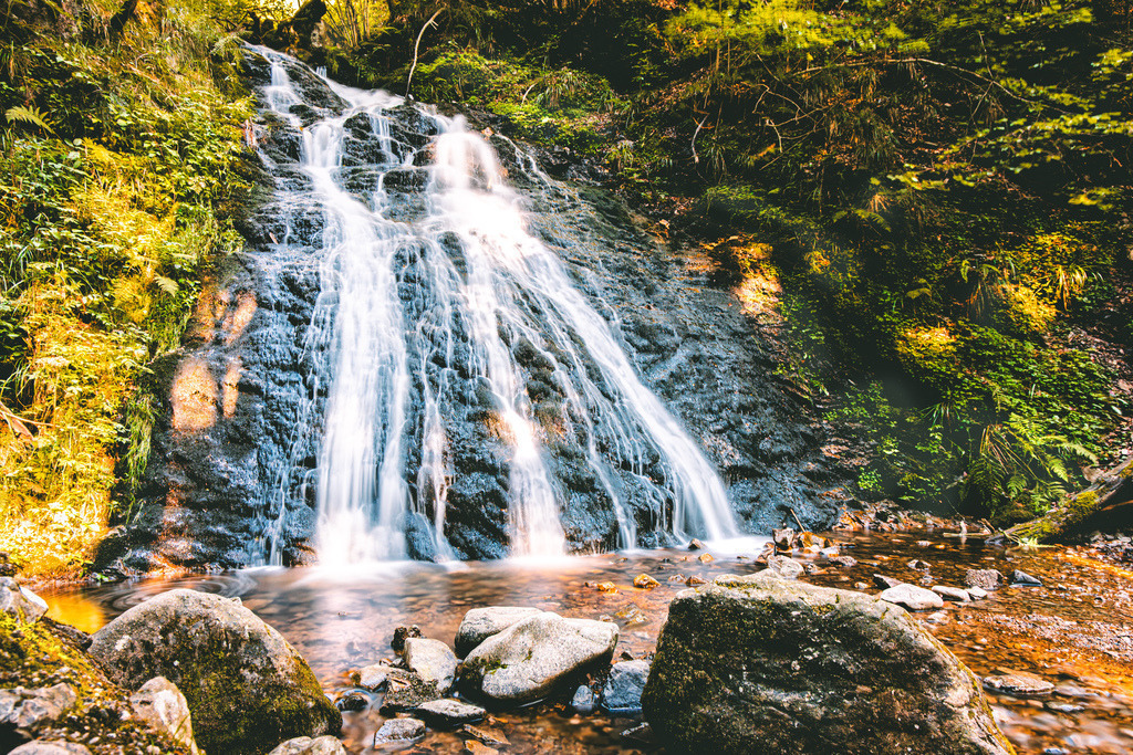 Der Todtmooser Wasserfall im malerischen Schwarzwald,Rütte-Schlucht | Bei dem ausgewählten Bildausschnitt handelt es sich um den Todtmooser Wasserfall (auch bekannt als Strickwasserfall) im malerischen Schwarzwald.Dieses beeindruckende Naturdenkmal liegt in der waldreichen Rütte-Schlucht nahe der Gemeinde Todtmoos im Südschwarzwald. Der Wasserfall stürzt in mehreren Stufen insgesamt rund 40 Meter in die Tiefe und ist über idyllische Wanderwege und Holzbrücken erschlossen. Von der Ortsmitte in Todtmoos führt eine gemütliche, etwa 2 Kilometer lange Wanderung (ca. 30 Minuten Fußweg) direkt zu den Kaskaden. Für eine kürzere Route gibt es zudem einen Wanderparkplatz in unmittelbarer Nähe.Beste Jahreszeit: Besonders nach ergiebigen Regenfällen oder während der Schneeschmelze im Frühjahr führt der Wasserfall viel Wasser und bietet ein tosendes Schauspiel. Im Winter verwandelt er sich bei langanhaltendem Frost oft in eine bizarre Eislandschaft - Realisiert mit Pictrs.com