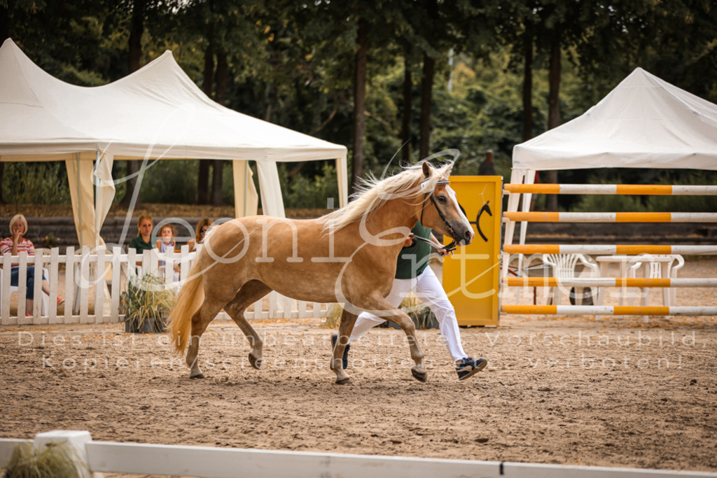 06.So00039 | Leoni Ertmer Photography - Realisiert mit Pictrs.com