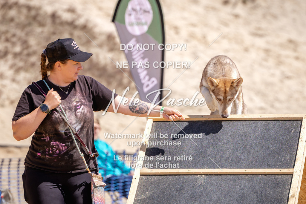 NR__2966 | nelerasche