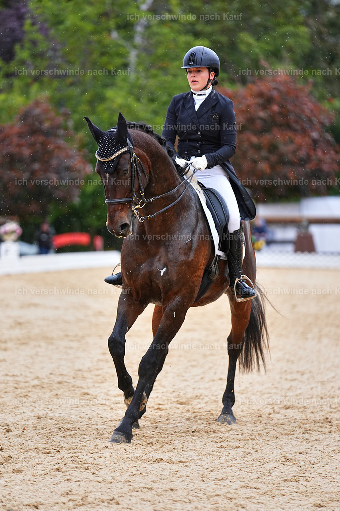 8_1-206-Klasse S_  -Marixx-4258 | working equitationturnier fotograf videograf stoibphotography marixx film working equitation deutschland reitsport turnierfotografie eventfotografie equestrian events