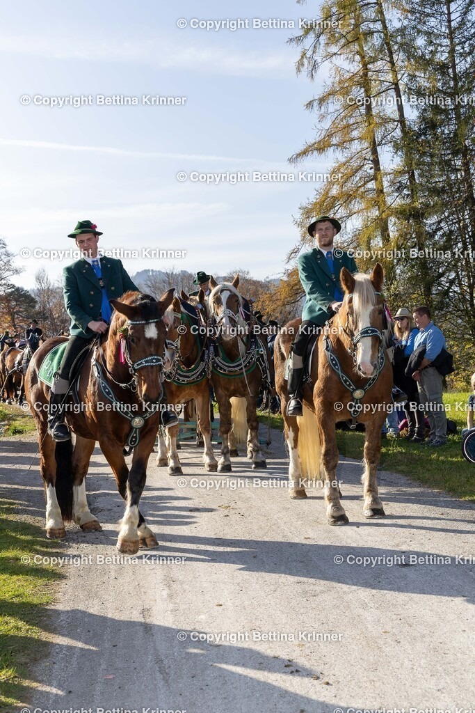 LBT24-1366 | foto-bettina-krinner - Realisiert mit Pictrs.com