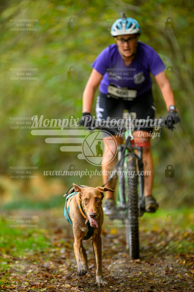 MompixPhotography_20TSB_E1_Bike-82 | PayLife