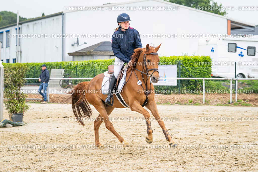 DSC00921 | Pferdegrafie