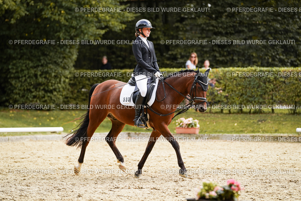 DSC01080 | Pferdegrafie