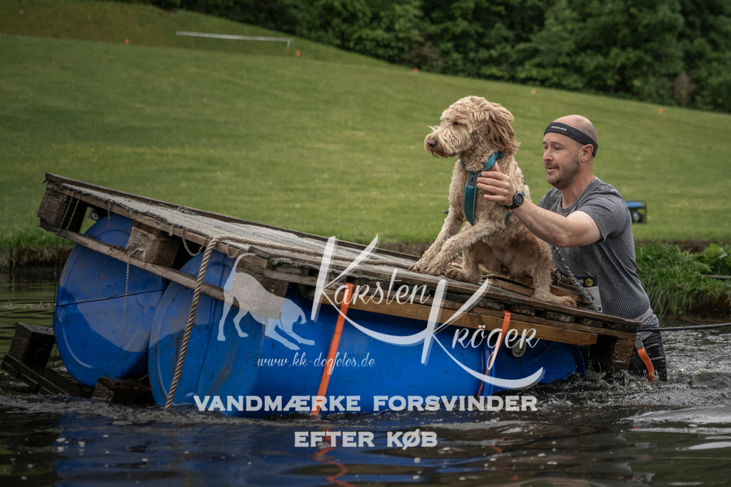 0958_ZZ93171 | kk-dogfotos