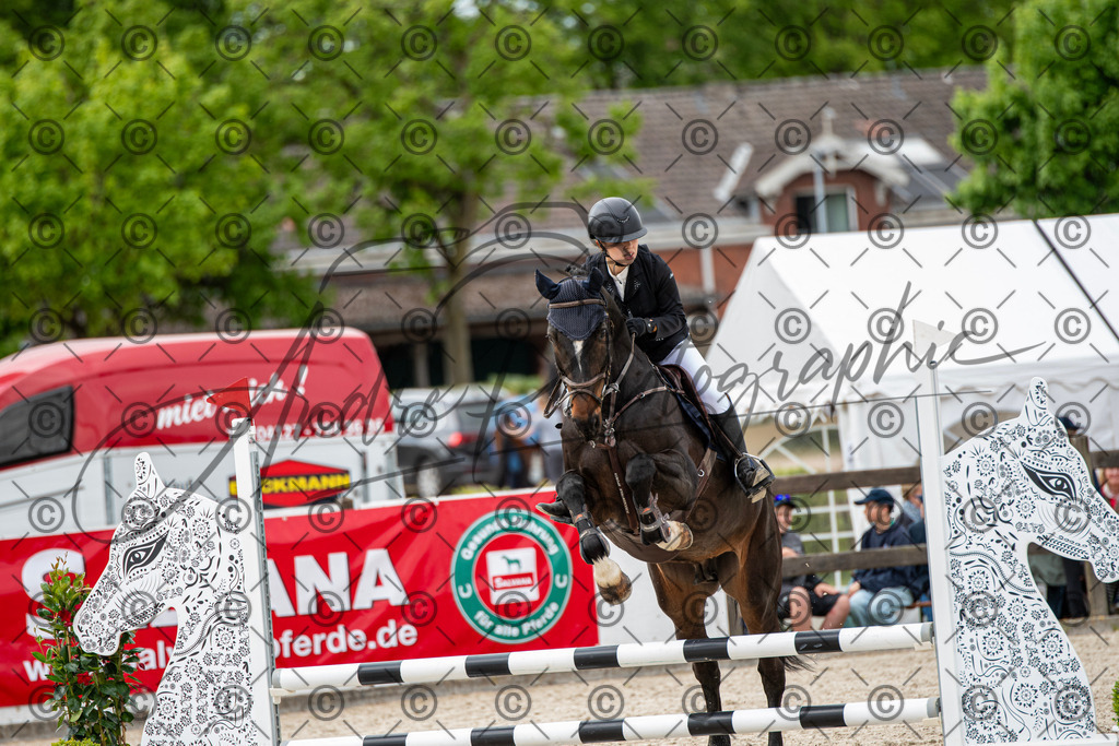 KPT_6474 | andre_photographic