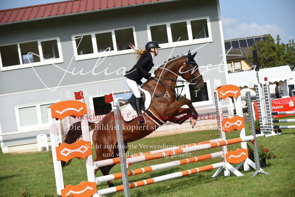 DSC_8784 | Pferde- und Turnierfotografie in Westsachsen. Pferdeportraits, Auftragszeichnungen und intuitive Kunst.