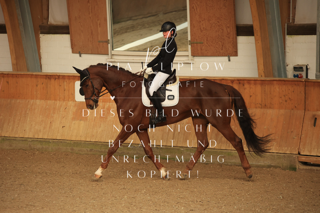 IMGT4139 | pl-fotografie