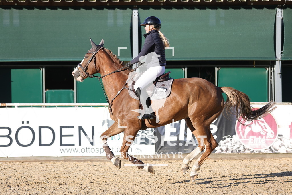 0P6A1960 | Willkommen bei Brunnmayr - Design & Fotografie – Ihrem Spezialisten für Reitturniere und Pferdeveranstaltungen in Oberösterreich, Salzburg und Bayern! Seit über 17 Jahren sind wir leidenschaftlich dabei.
