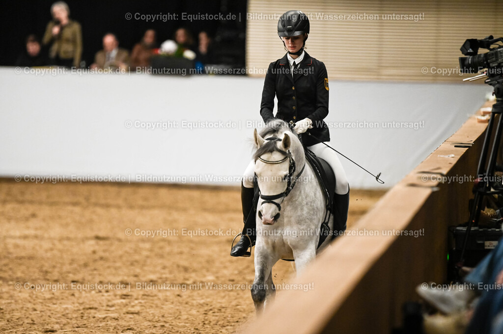 20260307_Hengstvorstellung-Marbach_0425 | equistock