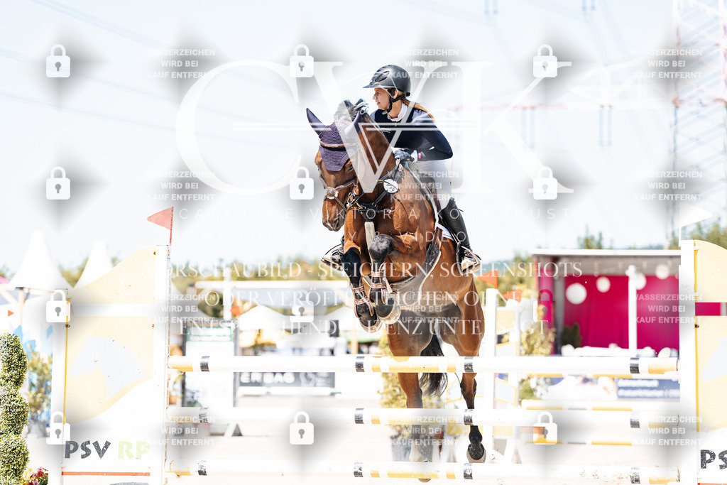 CK909561 | Turnierfotografie Pferdefotografie Trier Rheinland-Pfalz Pferdesport Reitsport Tierfotografie Sportfotografie Pferdevideo Pferdevideografie Equestrianvideography equestrianphotography  - Realisiert mit Pictrs.com