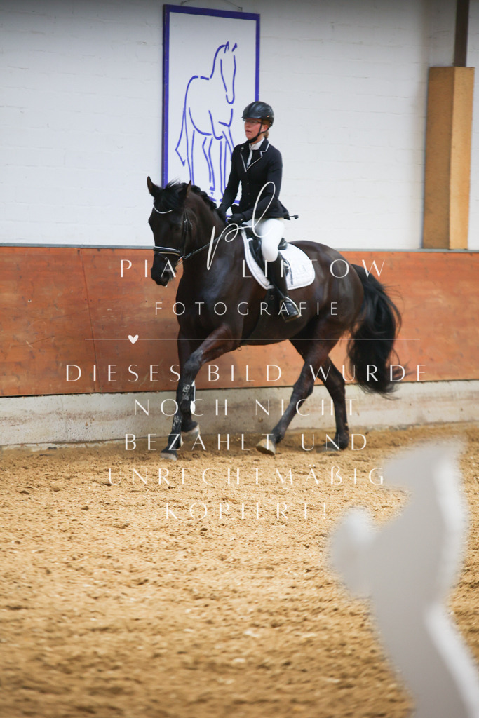 IMGT2037 | pl-fotografie