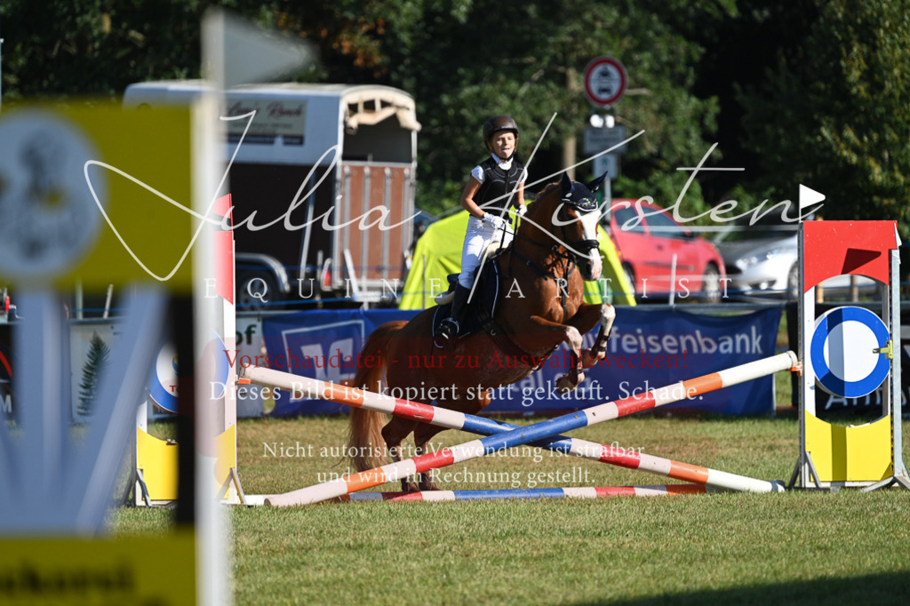 DSC_4952 | Pferde- und Turnierfotografie in Westsachsen. Pferdeportraits, Auftragszeichnungen und intuitive Kunst.