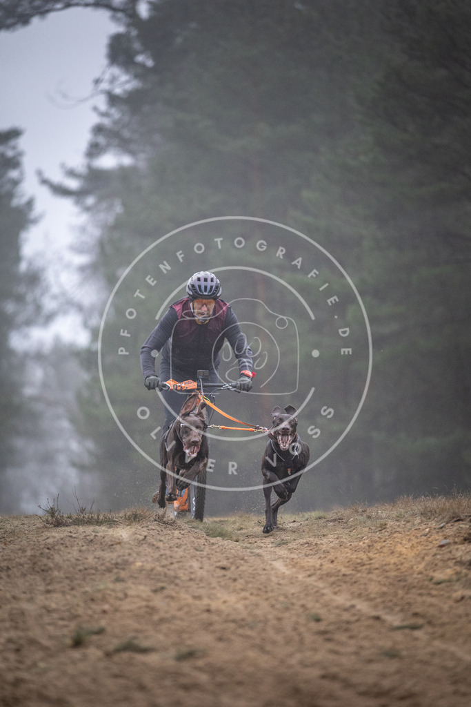 Pfotenfotografie_DV3A0745 | Hundefotografie, Tierfotograf, Pfotenfotografie, Fotoshooting Hund, Hunde Portrait, Hundesport, Hundeportraits, Heideshooting, Hunde, Sportfotograf, Hundefotograf, Turnierhundsport, THS,  - Realisiert mit Pictrs.com