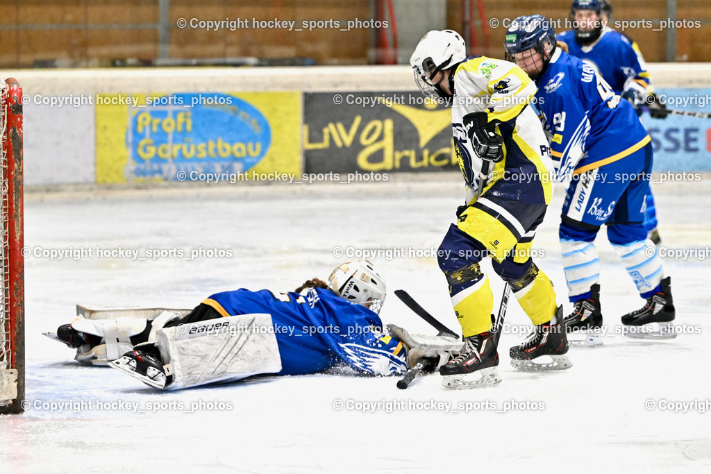 Wildcats Paternion vs. Lady Hawks  | #32 Prasser Hannah Sophie LADY HAWKS, #4 Oberzaucher Christina WILDCATS PATERNION, Wildcats Paternion vs. Lady Hawks , Wildcats Paternion vs. Lady Hawks  am 27.01.2025 in Spittal an der Drau (Eissportzentrum Spittal), Austria, (Photo by Bernd Stefan)